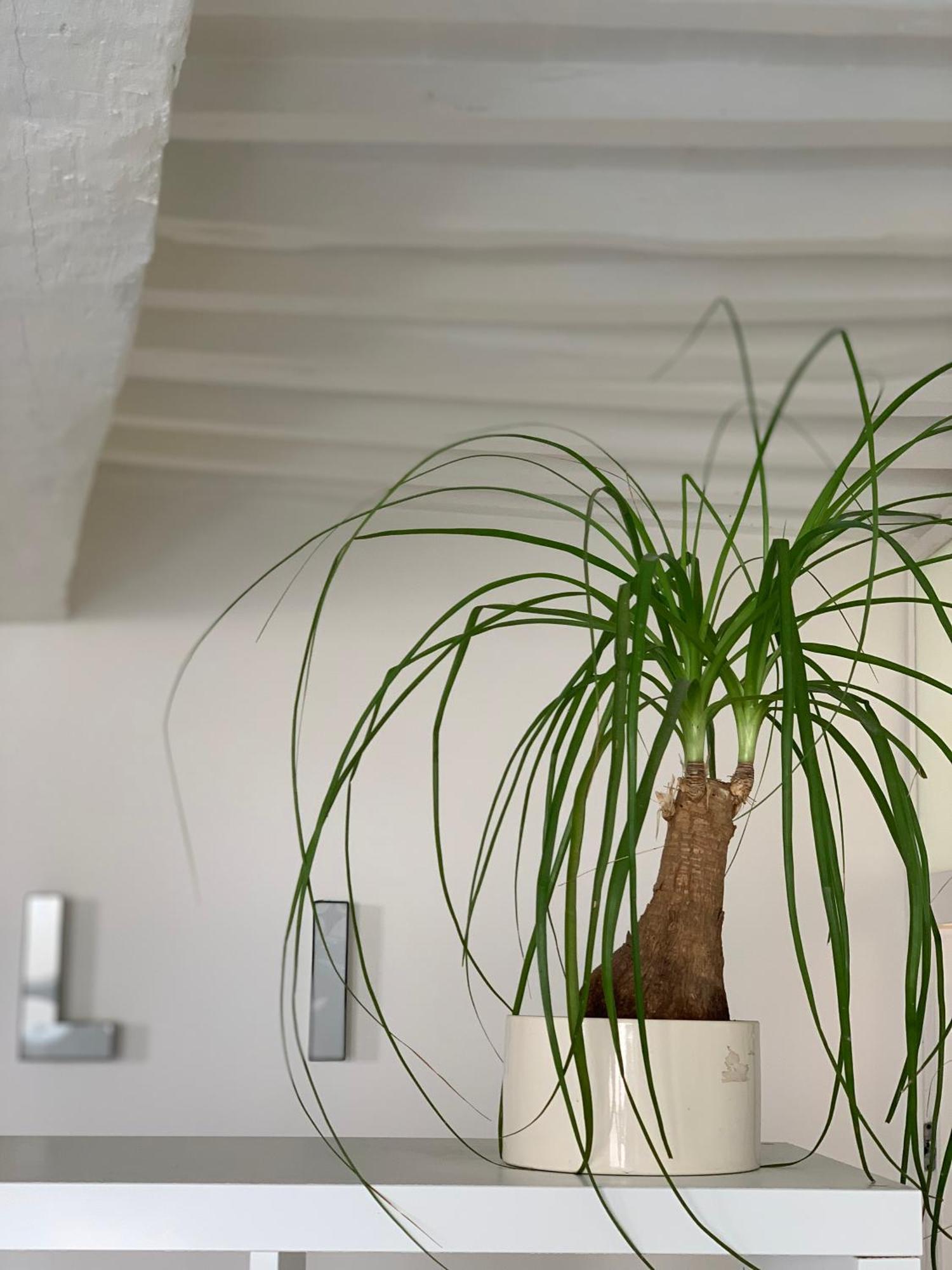 Alimenta Open Space Center Apartment